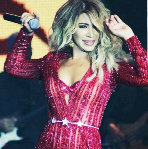 Photo source: Instagram/NawalelZoghbi
