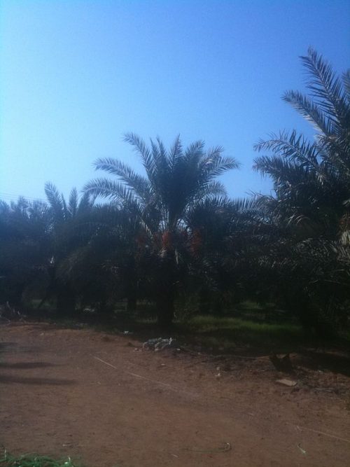 Photo source: Wikimedia